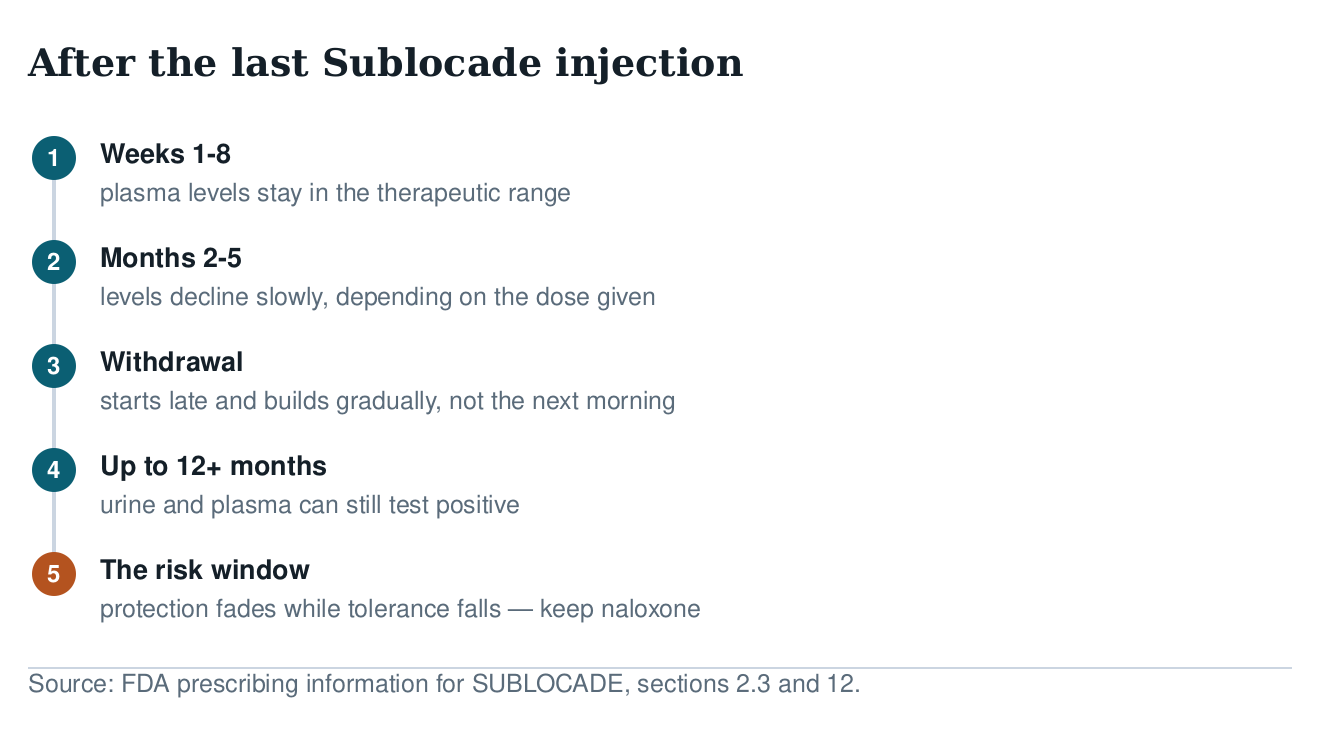 Timeline after the last Sublocade injection: therapeutic levels for weeks, slow decline over two to five months