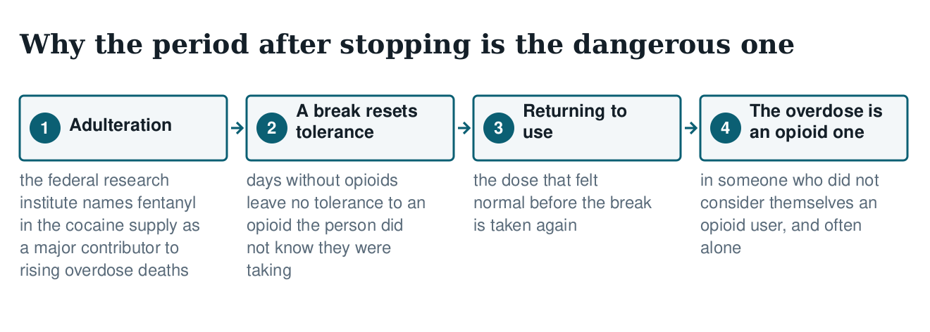 Flow diagram showing how a break from use resets opioid tolerance and why fentanyl in the cocaine supply then causes an opioid overdose