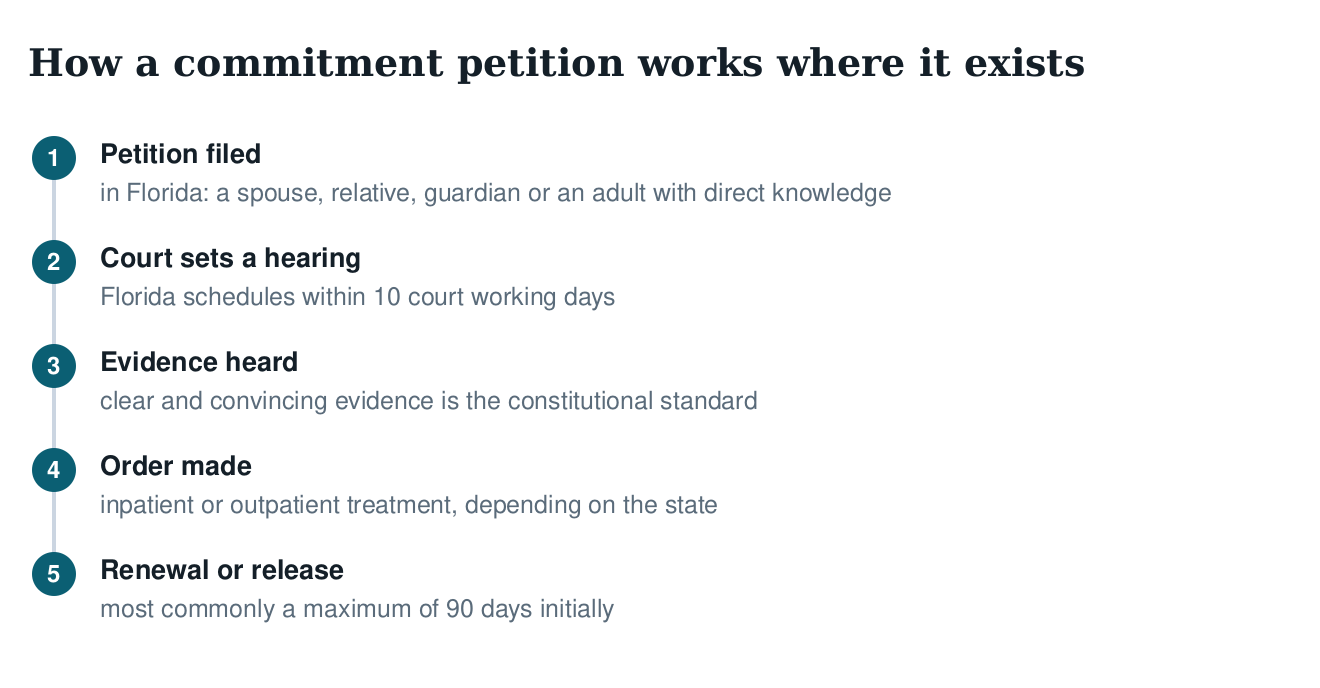 Five-step diagram of an involuntary commitment petition: filing, hearing scheduled
