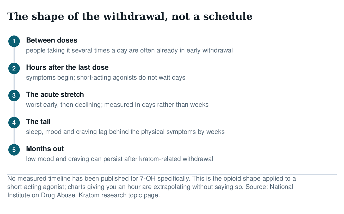 Sequence of 7-OH withdrawal: early withdrawal between doses, onset within hours, an acute stretch of days, a tail of weeks, low mood for months