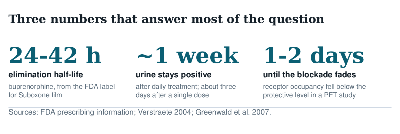 Three figures: buprenorphine elimination half-life 24 to 42 hours, urine positive about one week after daily treatment