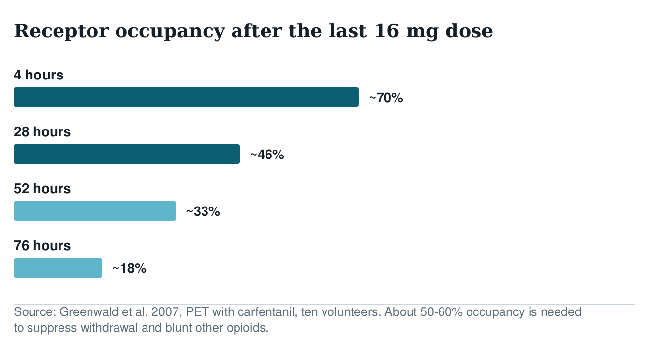 Bar chart of mu-opioid receptor occupancy after the last 16 mg buprenorphine dose: about 70 percent at 4 hours, 46 at 28