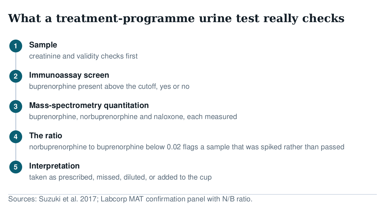 Flow diagram of a treatment-programme urine test: validity checks, immunoassay screen, mass-spectrometry quantitation
