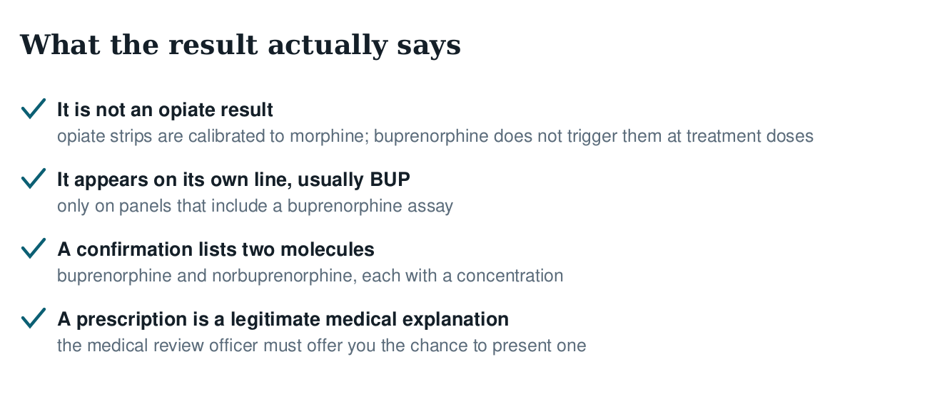 Checklist of what a positive buprenorphine result means: not an opiate result, its own BUP line