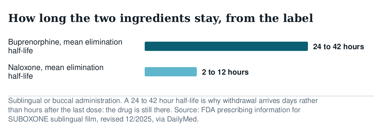 Bar chart of elimination half-life from the FDA label: buprenorphine 24 to 42 hours, naloxone 2 to 12 hours