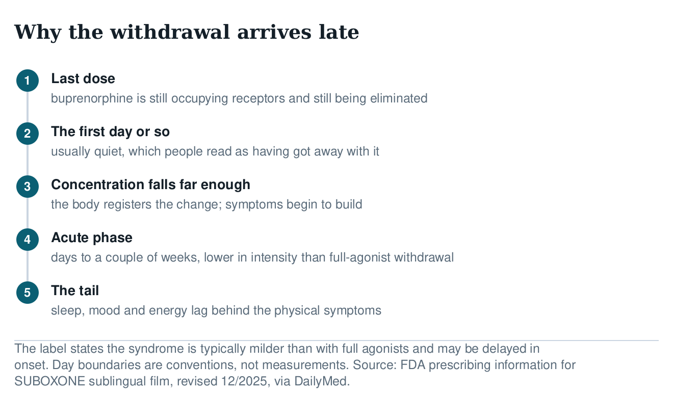 Sequence diagram of buprenorphine withdrawal: last dose, a quiet first day, concentration falling, the acute phase, and the tail of sleep and mood symptoms